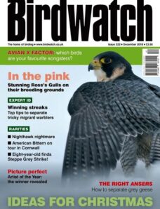 BirdWatch – December 2010