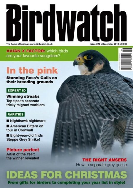 BirdWatch – December 2010