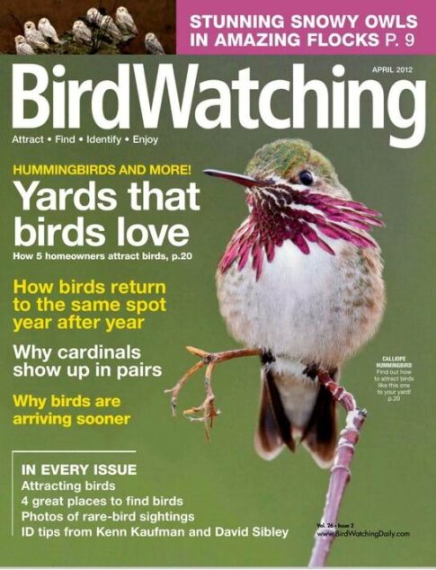 BirdWatching – April 2012