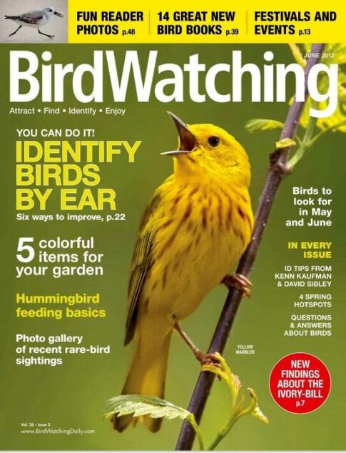 BirdWatching – June 2012