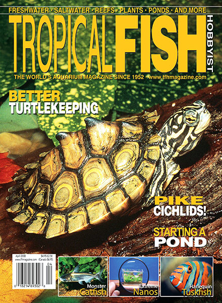 Tropical Fish Hobbyist – April 2008