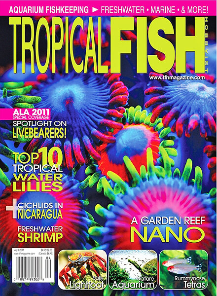 Tropical Fish Hobbyist — April 2011