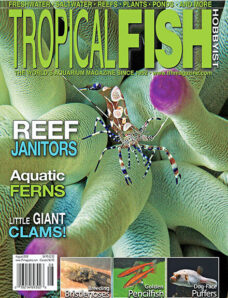 Tropical Fish Hobbyist — August 2008