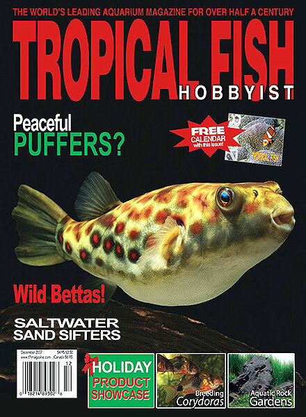 Tropical Fish Hobbyist — December 2007