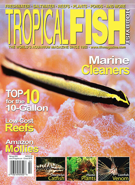 Tropical Fish Hobbyist — February 2008