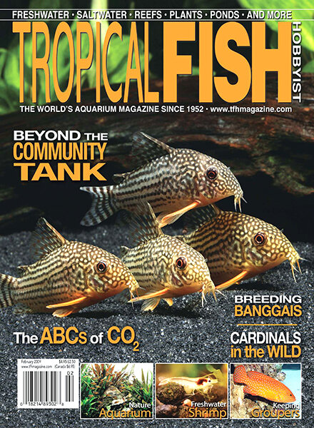 Tropical Fish Hobbyist — February 2009