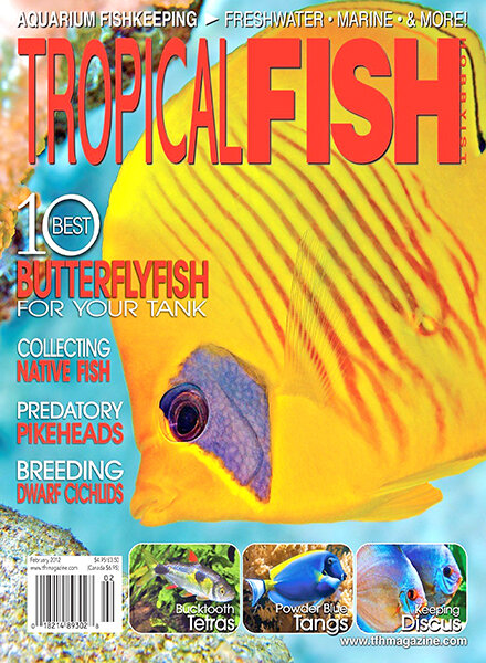 Tropical Fish Hobbyist — February 2012