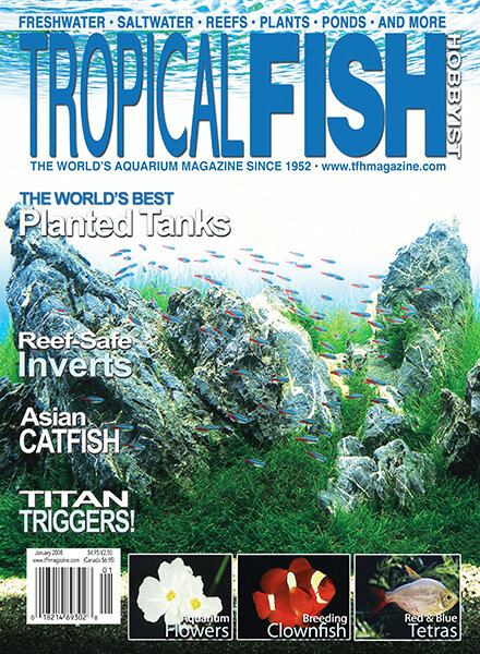 Tropical Fish Hobbyist — January 2008