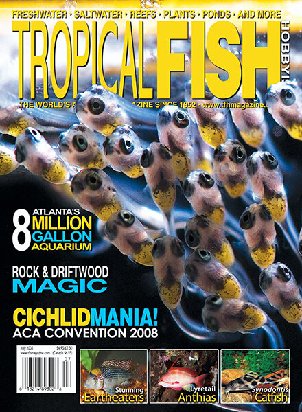 Tropical Fish Hobbyist — July 2008