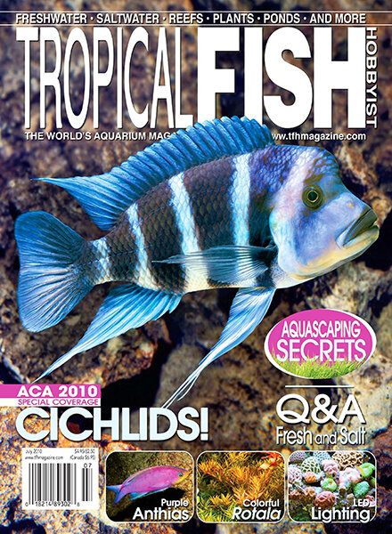 Tropical Fish Hobbyist — July 2010