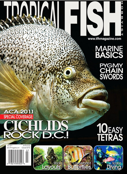 Tropical Fish Hobbyist — July 2011