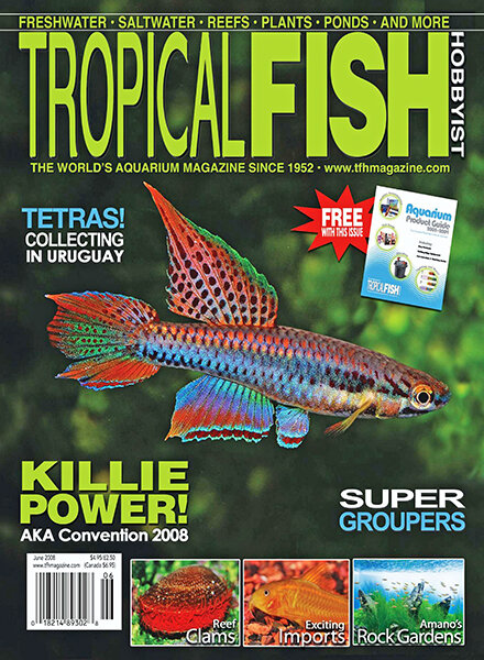 Tropical Fish Hobbyist — June 2008