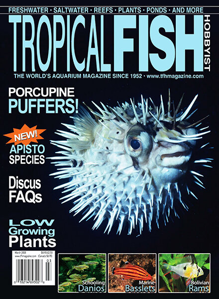 Tropical Fish Hobbyist — March 2008