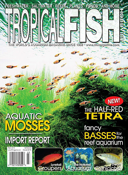 Tropical Fish Hobbyist — March 2010
