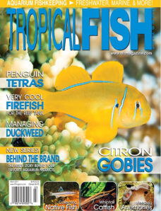 Tropical Fish Hobbyist — March 2011