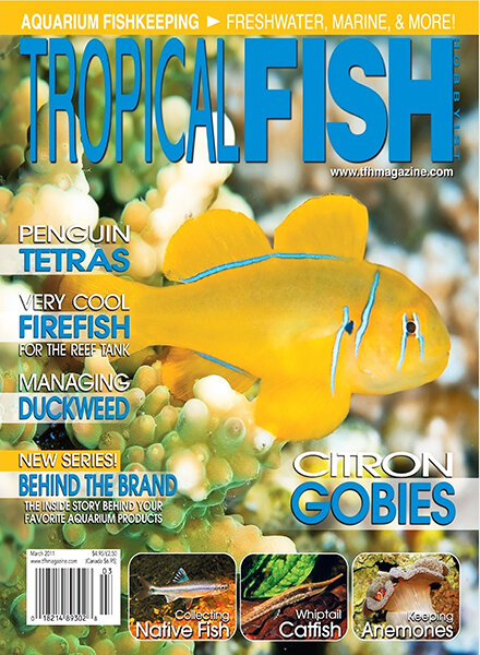 Tropical Fish Hobbyist – March 2011