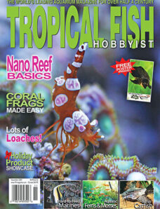 Tropical Fish Hobbyist — November 2007