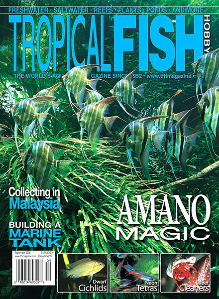 Tropical Fish Hobbyist — September 2008