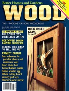 Wood – June 1991 #43