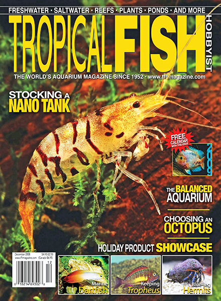 Tropical Fish Hobbyist — December 2008