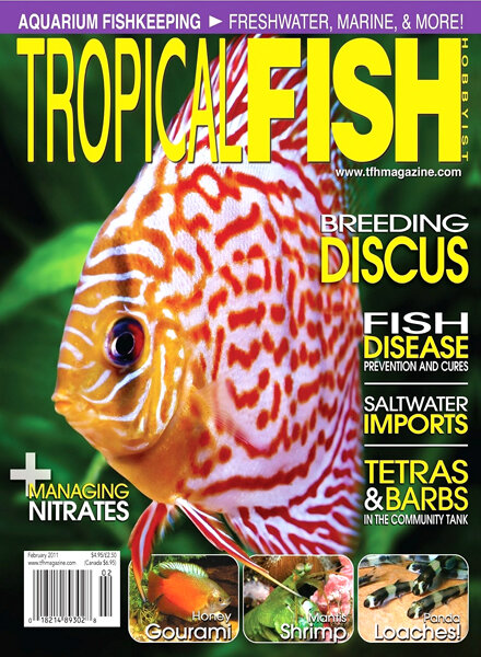 Tropical Fish Hobbyist — February 2011
