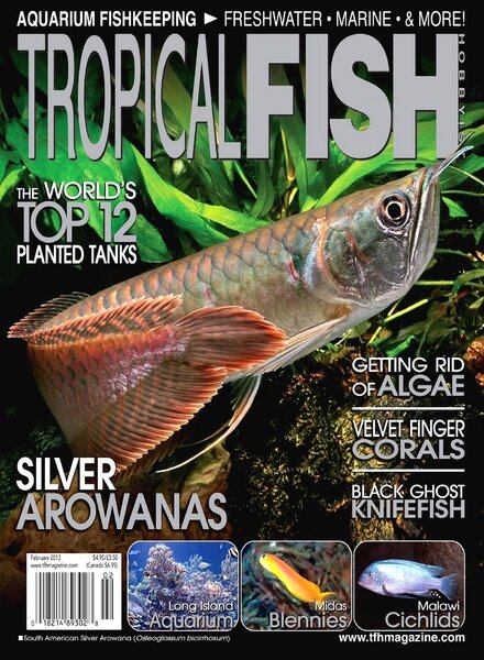 Tropical Fish Hobbyist — February 2013