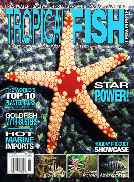 Tropical Fish Hobbyist — January 2009