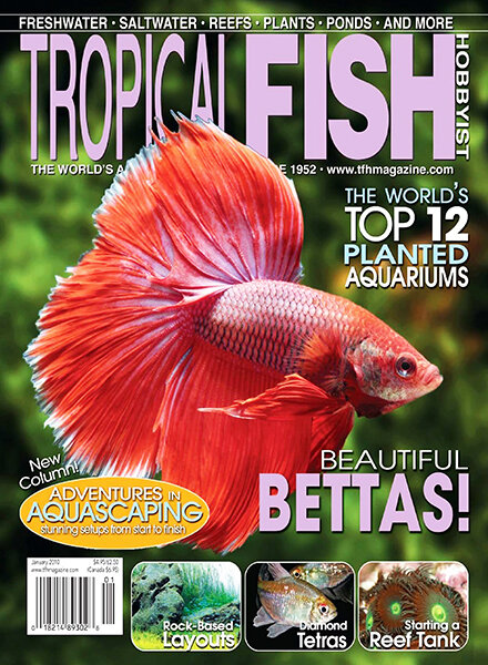 Tropical Fish Hobbyist — January 2010