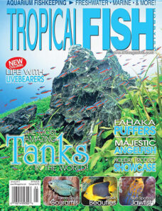 Tropical Fish Hobbyist — January 2012