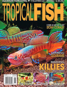 Tropical Fish Hobbyist — June 2012