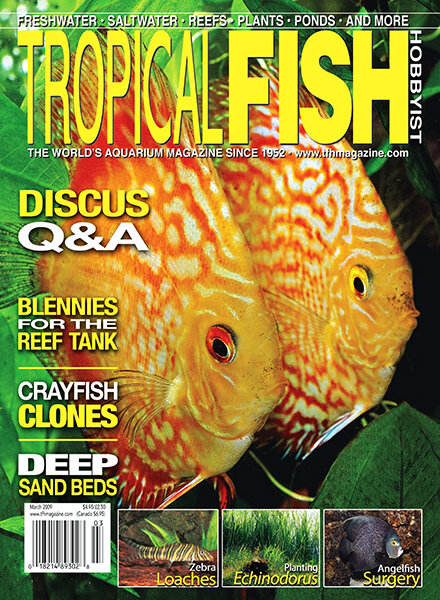 Tropical Fish Hobbyist — March 2009