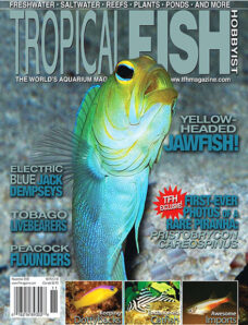Tropical Fish Hobbyist – November 2008