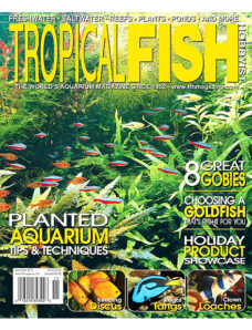 Tropical Fish Hobbyist — November 2010
