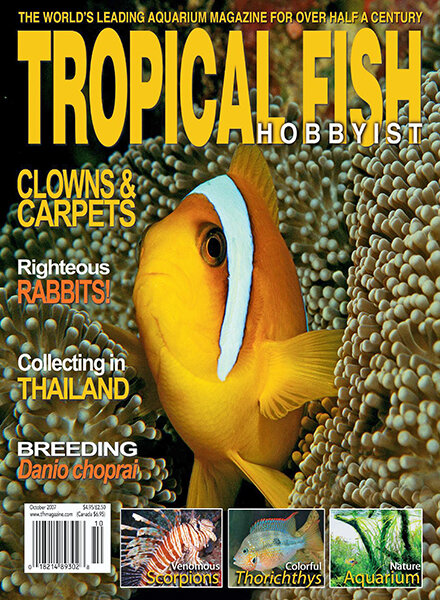 Tropical Fish Hobbyist — October 2007