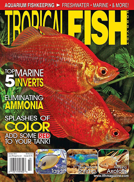 Tropical Fish Hobbyist – October 2012