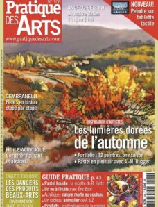 Pratique des Arts  — September-October 2012 #106