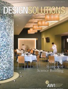Design Solutions – Summer 2010