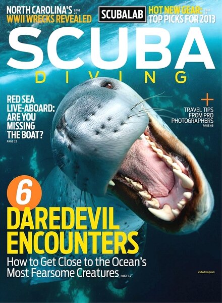Scuba Diving – March-April 2013