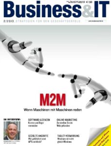 Business & IT Issue 2 — Marz 2013