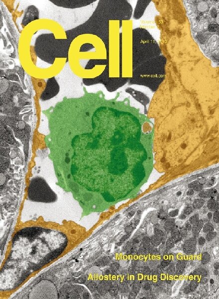 Cell – 11 April 2013
