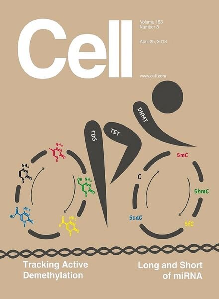 Cell – 25 April 2013