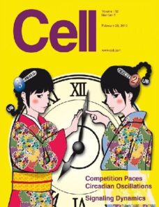 Cell – 28 February 2013