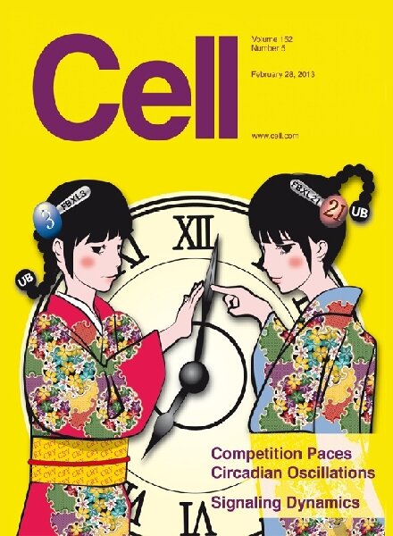 Cell – 28 February 2013