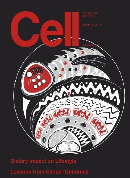 Cell – 28 March 2013