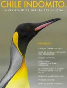 Chile Indómito 1 — Febrero De 2013