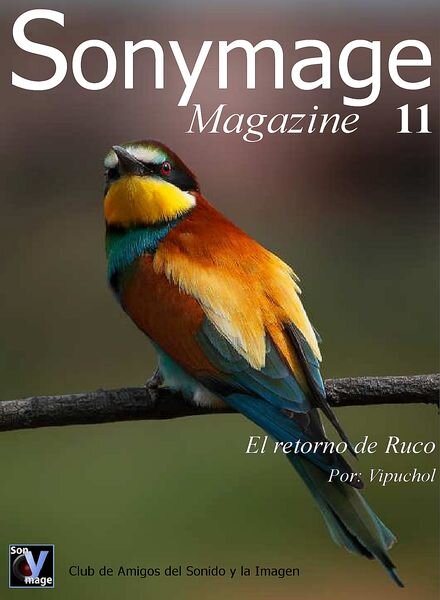 Sonymage – Issue 11