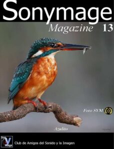 Sonymage – Issue 13