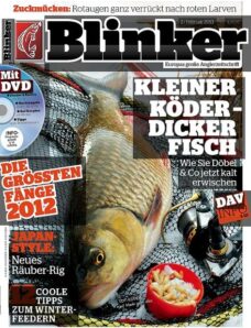 Blinker — Februar 2013