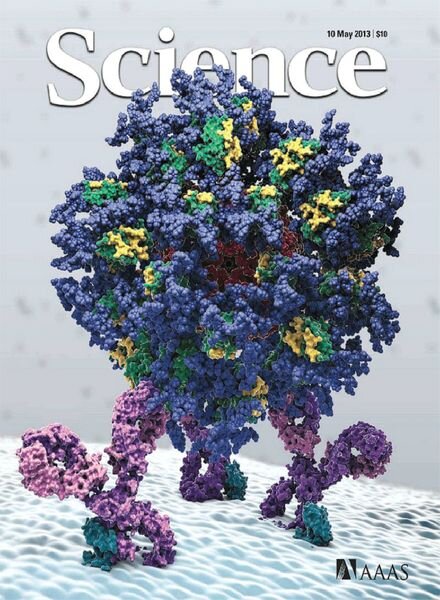 Science – 10 May 2013