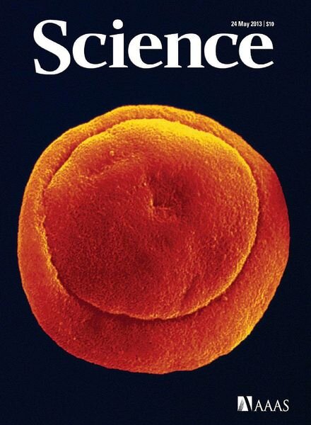Science – 24 May 2013